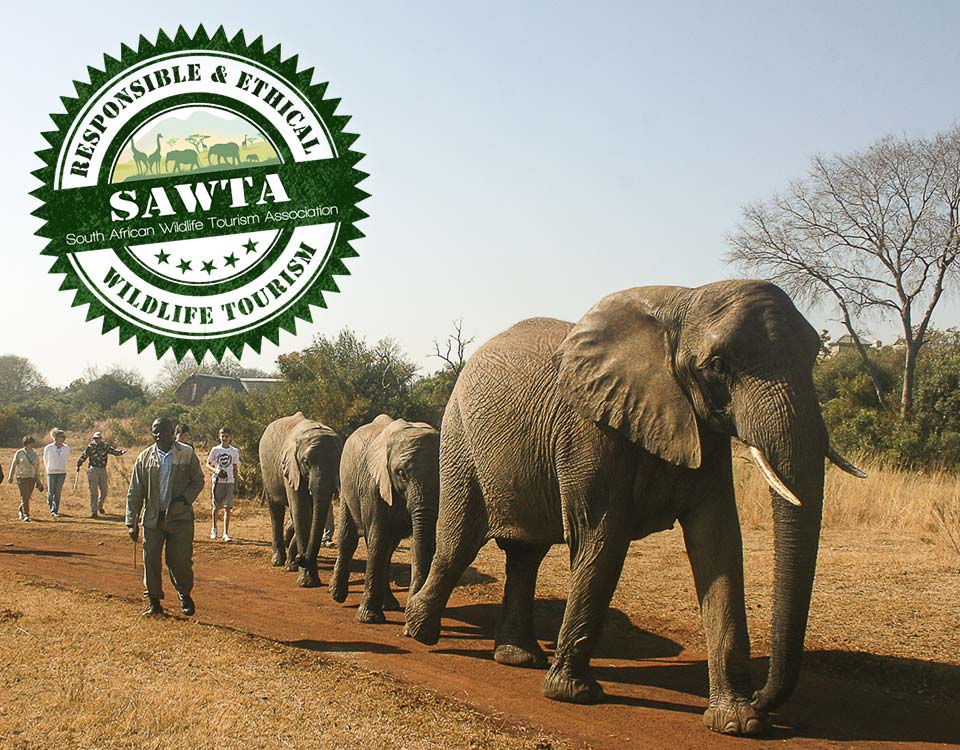 SAWTA